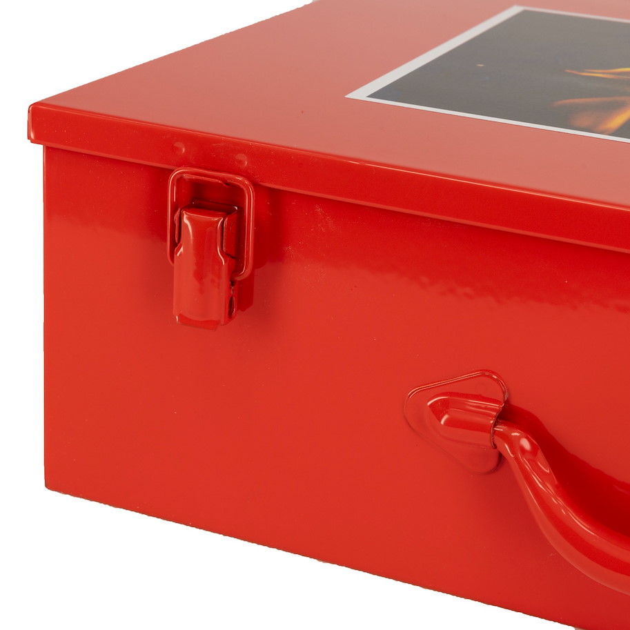 LFS-02-2-G LiPo Firesafe mit 2 quer Trennungen mit Griffen 450 x 380 x 135